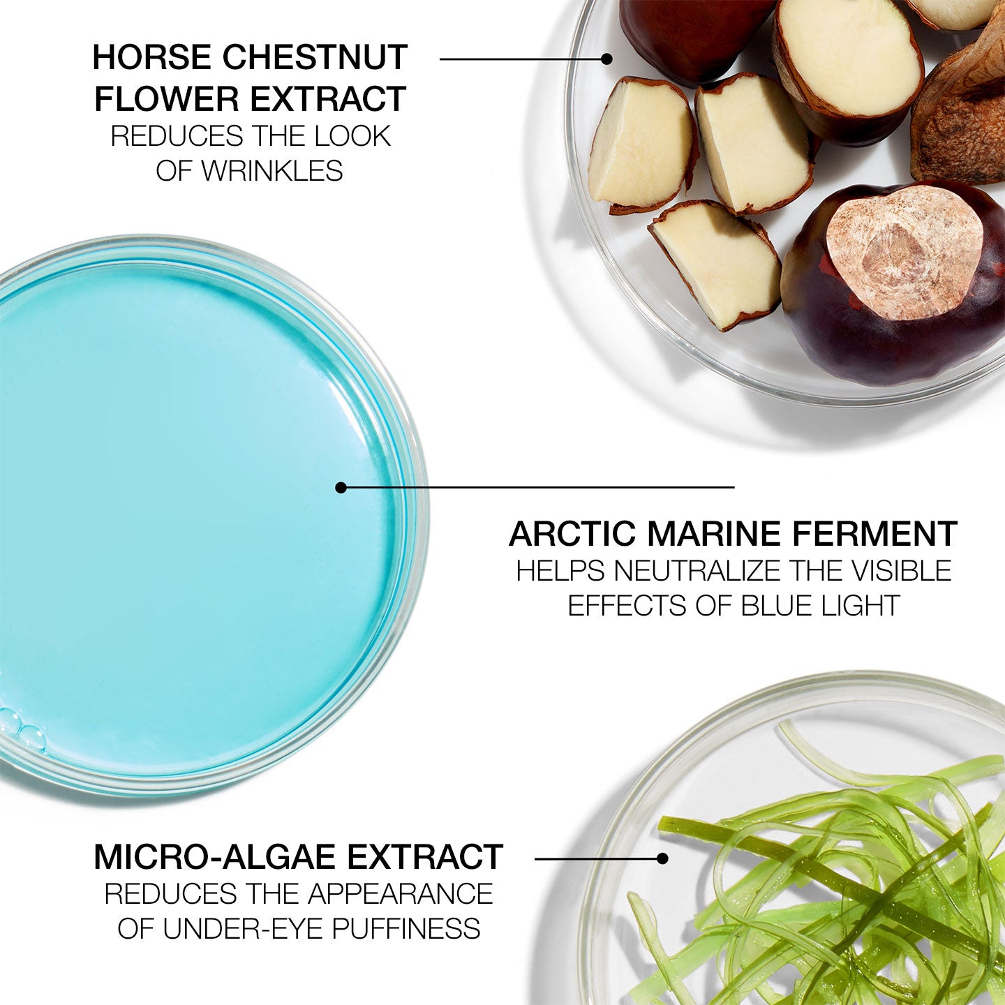 Intensive Eye Concentrate for Wrinkles PLUS - Image 4